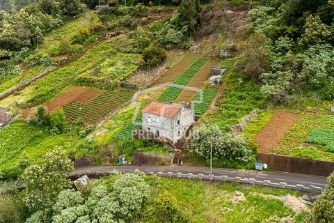 Villa a Santana, Madeira, Santana - € 250.000 | Ref: 12077-FS - foto 12