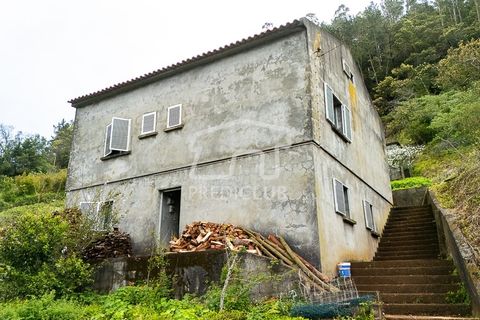 Villa a Santana, Madeira, Santana - € 250.000 | Ref: 12077-FS - foto 13