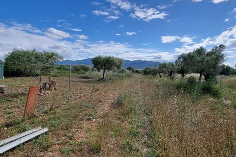 Finca i Ginestar, Tarragona, Ginestar - € 120.000 | Ref: Dg - foto 24