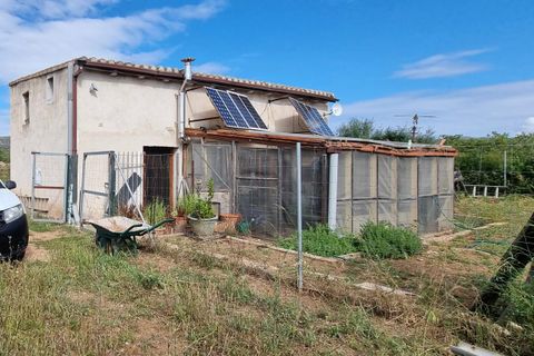 Finca i Ginestar, Tarragona, Ginestar - € 120.000 | Ref: Dg - foto 34