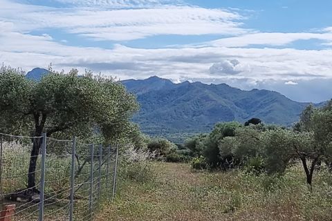 Finca i Ginestar, Tarragona, Ginestar - € 120.000 | Ref: Dg - foto 23