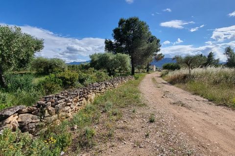 Finca i Ginestar, Tarragona, Ginestar - € 120.000 | Ref: Dg - foto 26