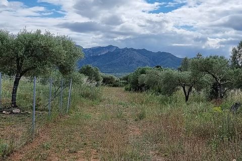 Finca i Ginestar, Tarragona, Ginestar - € 120.000 | Ref: Dg - foto 25