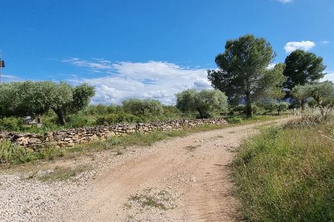 Finca i Ginestar, Tarragona, Ginestar - € 120.000 | Ref: Dg - foto 29