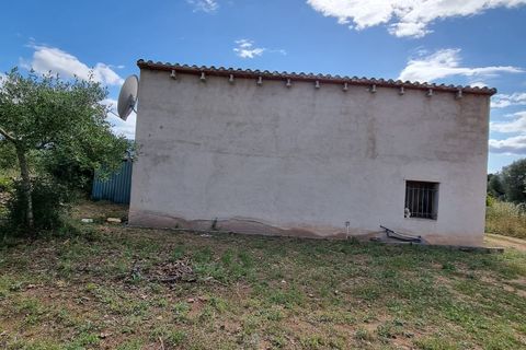Finca i Ginestar, Tarragona, Ginestar - € 120.000 | Ref: Dg - foto 28