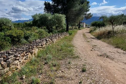 Finca i Ginestar, Tarragona, Ginestar - € 120.000 | Ref: Dg - foto 27