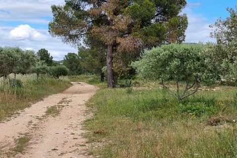 Finca i Ginestar, Tarragona, Ginestar - € 120.000 | Ref: Dg - foto 6