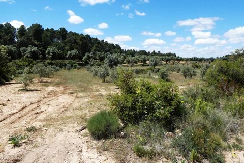 Finca i Calaceite, Teruel, Calaceite - € 34 000 | Ref: 1121 - foto 2