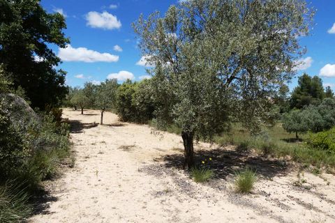 Finca i Calaceite, Teruel, Calaceite - € 34 000 | Ref: 1121 - foto 26