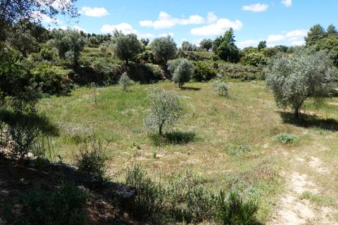 Finca i Calaceite, Teruel, Calaceite - € 34 000 | Ref: 1121 - foto 20