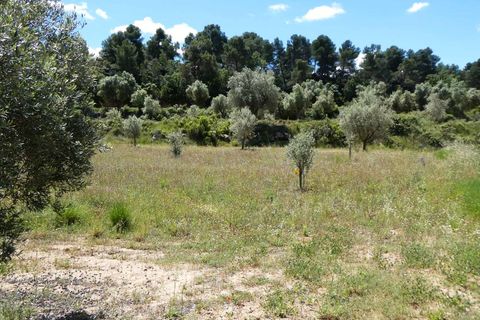 Finca i Calaceite, Teruel, Calaceite - € 34 000 | Ref: 1121 - foto 5