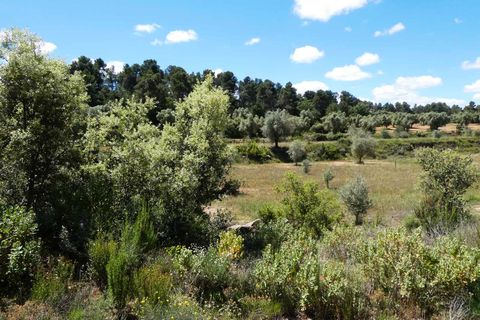 Finca i Calaceite, Teruel, Calaceite - € 34 000 | Ref: 1121 - foto 3