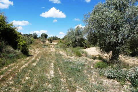 Finca i Calaceite, Teruel, Calaceite - € 34 000 | Ref: 1121 - foto 15