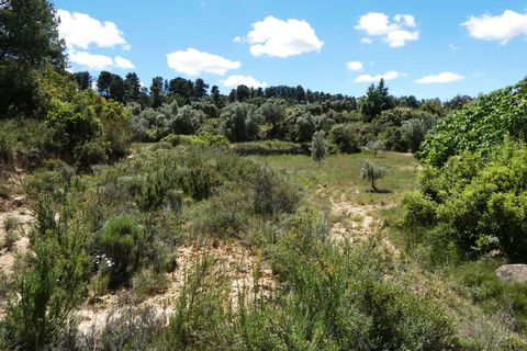 Finca i Calaceite, Teruel, Calaceite - € 34 000 | Ref: 1121 - foto 25