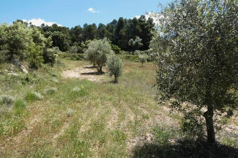 Finca i Calaceite, Teruel, Calaceite - € 34 000 | Ref: 1121 - foto 6