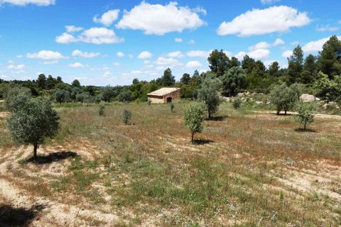 Finca i Calaceite, Teruel, Calaceite - € 34 000 | Ref: 1121 - foto 30