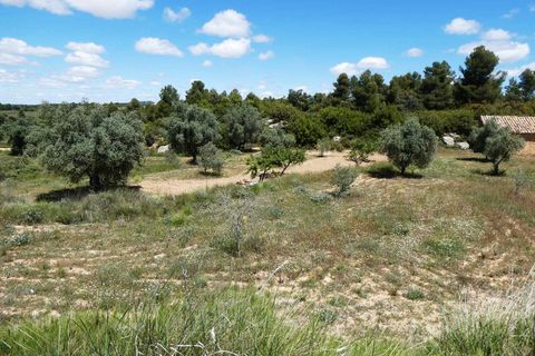 Finca i Calaceite, Teruel, Calaceite - € 34 000 | Ref: 1121 - foto 18
