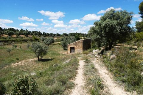 Finca i Calaceite, Teruel, Calaceite - € 34 000 | Ref: 1121 - foto 4