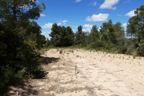 Finca i Calaceite, Teruel, Calaceite - € 34 000 | Ref: 1121 - foto 29