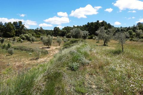 Finca i Calaceite, Teruel, Calaceite - € 34 000 | Ref: 1121 - foto 16