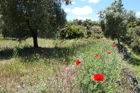 Finca i Calaceite, Teruel, Calaceite - € 34 000 | Ref: 1121 - foto 23