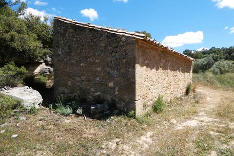 Finca i Calaceite, Teruel, Calaceite - € 34 000 | Ref: 1121 - foto 13