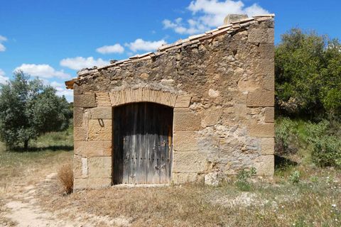Finca i Calaceite, Teruel, Calaceite - € 34 000 | Ref: 1121 - foto 7