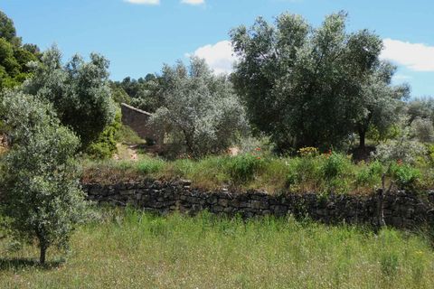 Finca i Calaceite, Teruel, Calaceite - € 34 000 | Ref: 1121 - foto 27