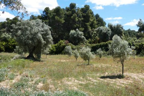 Finca i Calaceite, Teruel, Calaceite - € 34 000 | Ref: 1121 - foto 19