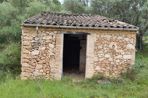 Finca i Mora D'ebre, Tarragona, Mora D'ebre - € 15.000 | Ref: Md3 - foto 4