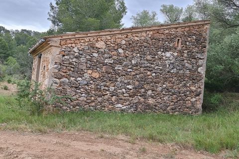 Finca i Mora D'ebre, Tarragona, Mora D'ebre - € 15.000 | Ref: Md3 - foto 3