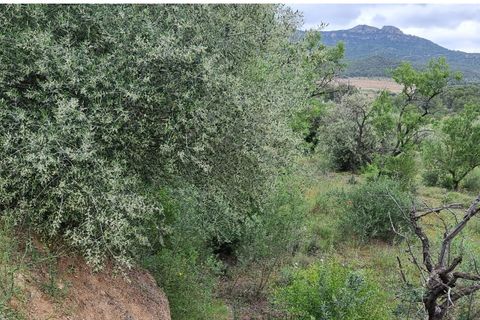 Finca i Mora D'ebre, Tarragona, Mora D'ebre - € 15.000 | Ref: Md3 - foto 7