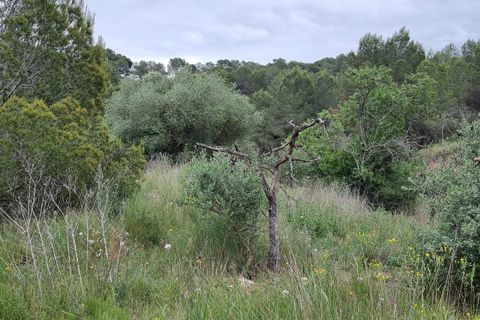 Finca i Mora D'ebre, Tarragona, Mora D'ebre - € 15.000 | Ref: Md3 - foto 6