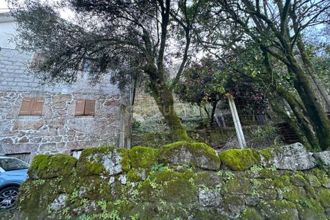 Villa i Terras de Bouro, Braga, Terras de Bouro - € 349.000 | Ref: C0256-03471 - foto 19