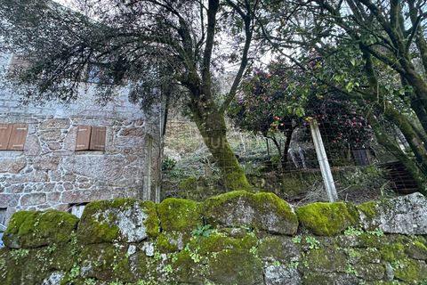 Villa i Terras de Bouro, Braga, Terras de Bouro - € 349.000 | Ref: C0256-03471 - foto 35