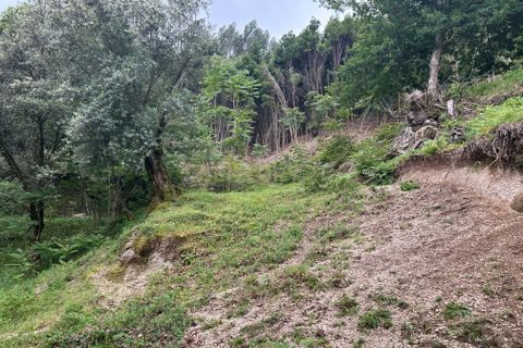 Villa i Terras de Bouro, Braga, Terras de Bouro - € 349.000 | Ref: C0256-03471 - foto 46