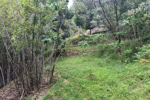 Villa i Terras de Bouro, Braga, Terras de Bouro - € 349.000 | Ref: C0256-03471 - foto 47
