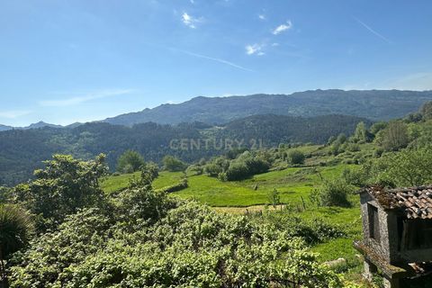 Villa i Ciboes e Brufe, Braga, Ciboes e Brufe - € 67.500 | Ref: C0256-03472 - foto 10