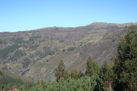 Villa i Ciboes e Brufe, Braga, Ciboes e Brufe - € 67.500 | Ref: C0256-03472 - foto 34