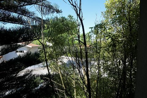 Villa i Matosinhos, Porto, Matosinhos - € 800.000 | Ref: 428260074 - foto 9