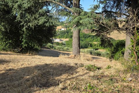 Villa a Morlupo, Rome, Morlupo - € 175.000 | Ref: 1758 - foto 29