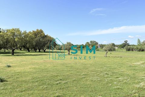 Landejendom i Evora, Evora, Evora - € 398.000 | Ref: CS246 - foto 2