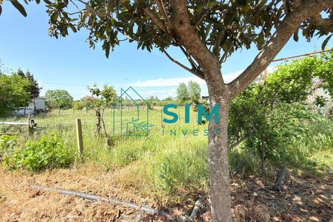 Landejendom i Evora, Evora, Evora - € 398.000 | Ref: CS246 - foto 25