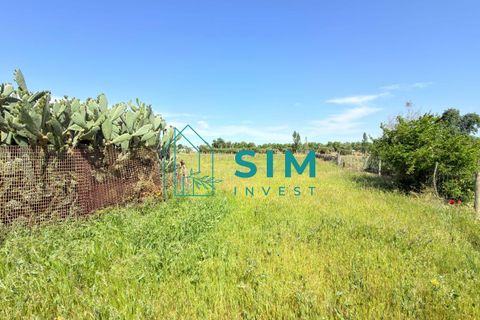 Landejendom i Evora, Evora, Evora - € 398.000 | Ref: CS246 - foto 27