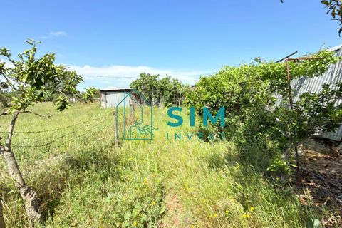Landejendom i Evora, Evora, Evora - € 398.000 | Ref: CS246 - foto 28