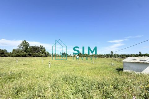 Landejendom i Evora, Evora, Evora - € 398.000 | Ref: CS246 - foto 30