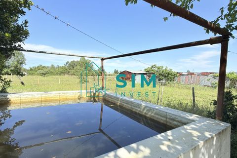 Landejendom i Evora, Evora, Evora - € 398.000 | Ref: CS246 - foto 33