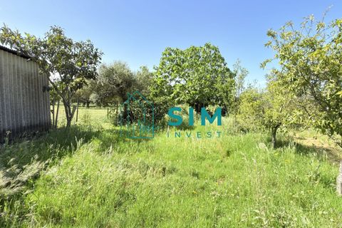 Landejendom i Evora, Evora, Evora - € 398.000 | Ref: CS246 - foto 36
