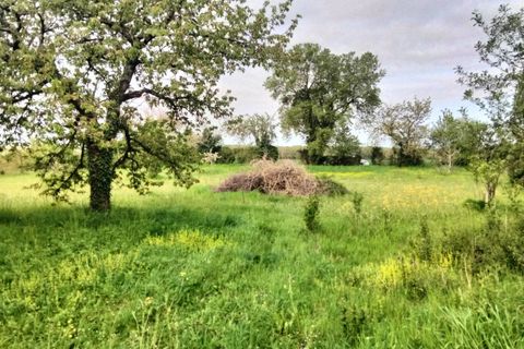 Terra a Charrais, Vienne, Charrais - € 33.500 | Ref: 9175R - foto 3