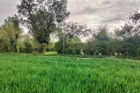 Terra a Charrais, Vienne, Charrais - € 33.500 | Ref: 9175R - foto 4